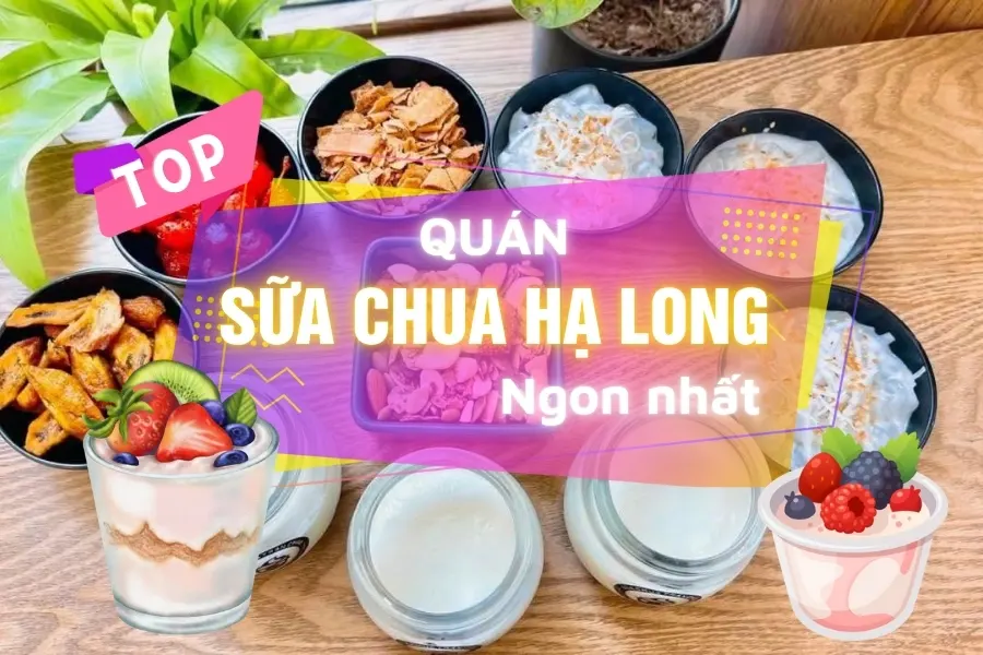 Top sữa chua hạ long ngon