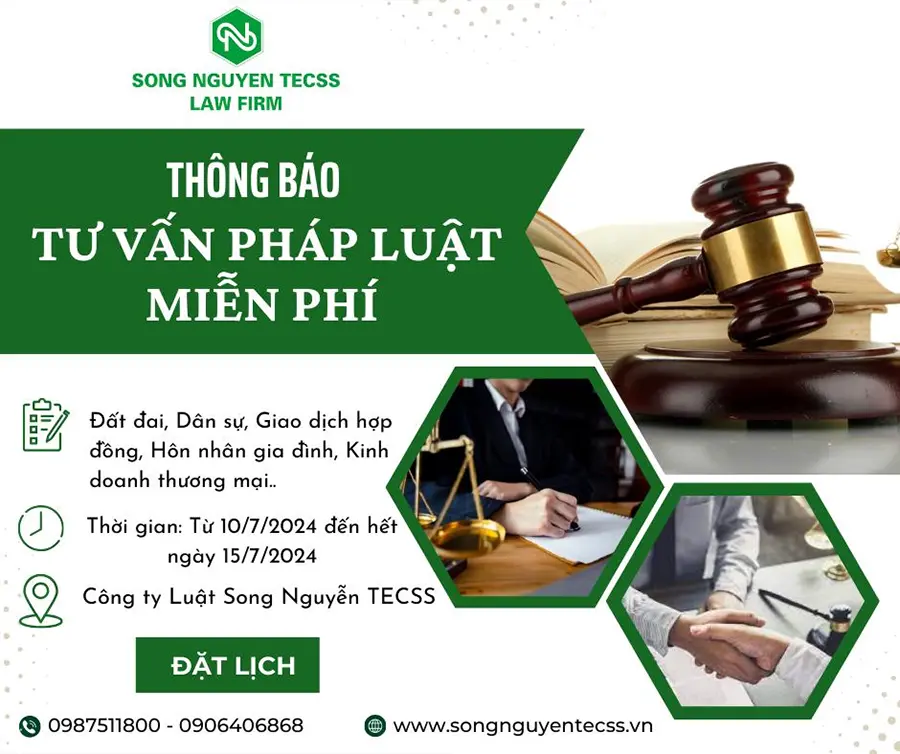 công ty luật song nguyễn