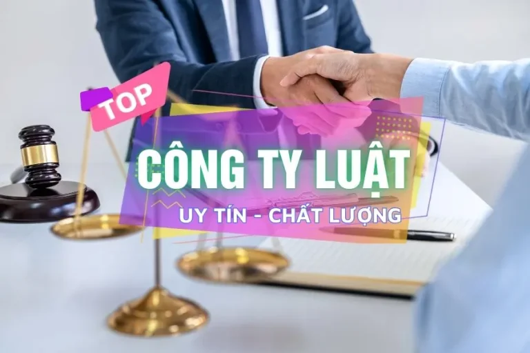 top công ty luật Hạ Long Quảng Ninh