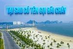 tại sao gọi là bãi cháy