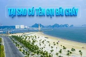 tại sao gọi là bãi cháy