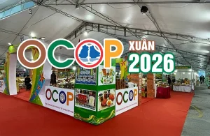 OCOP xuân 2026